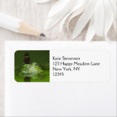 蝶々を鼻にかけたかわいいカエル ラベル (インサイチュ)