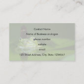 蝶々を鼻にかけたかわいいカエル 名刺 (裏面)