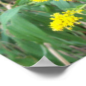 蝶々付き金棒 ポスター (角)