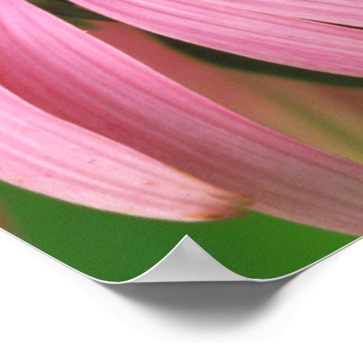 蝶々提督 ポスター (角)