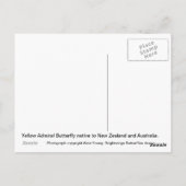 蝶々提督 ポストカード (裏面)