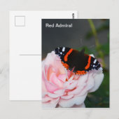 蝶々提督 ポストカード (正面/裏面)