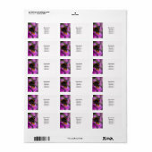 蝶々提督 ラベル (フルシート)