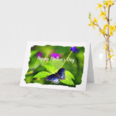 蝶々紅斑紫の母の日 カード (黄色い花)