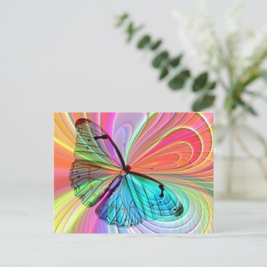 蝶々葉書 ポストカード (スタンド正面)