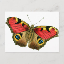 蝶々–9輪 ポストカード