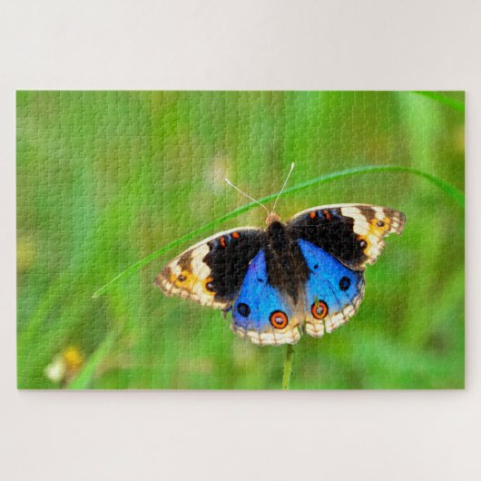 蝶々 Kupu Kupu Butterfly ジグソーパズル (横)