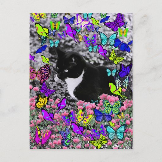 蝶々IIのソバカス – Tux Kitty Cat ポストカード (正面)