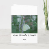 蝶ありがとう挨拶 サンキューカード (裏面)