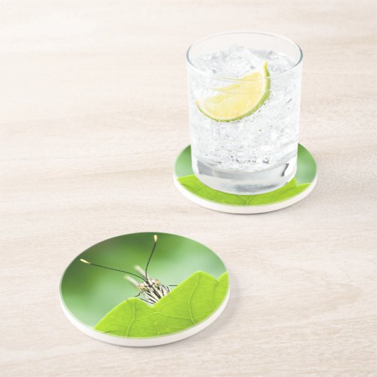 蝶おもしろい々が葉の上を覗く コースター (側面)