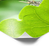 蝶おもしろい々が葉の上を覗く フォトプリント (角)