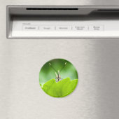 蝶おもしろい々が葉の上を覗く マグネット (インサイチュ (食洗機))