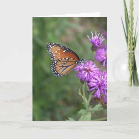 蝶および野生の花の挨拶状 カード (正面)