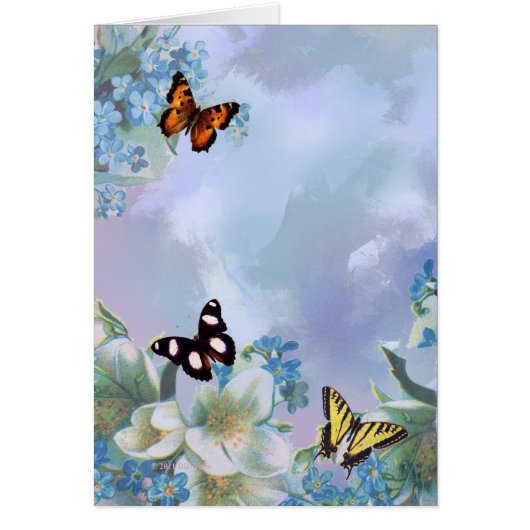 蝶および青 (正面)