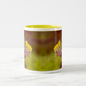 蝶およびGaillardia ツートーンマグカップ (中央)