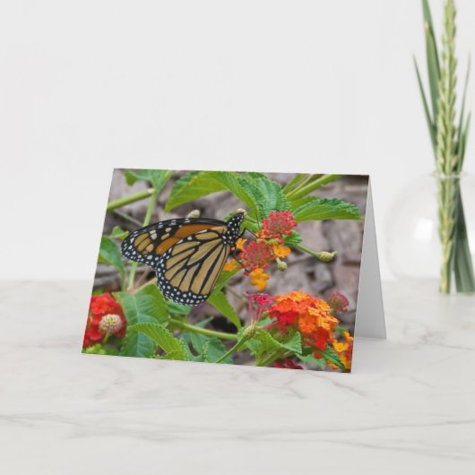 蝶およびLantana カード (正面)