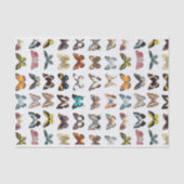 蝶かわいらしの模様 薄葉紙 (正面)