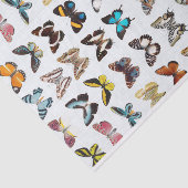 蝶かわいらしの模様 薄葉紙 (詳細)