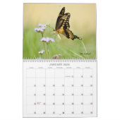 蝶かわいらしカレンダー カレンダー (1月 2026)