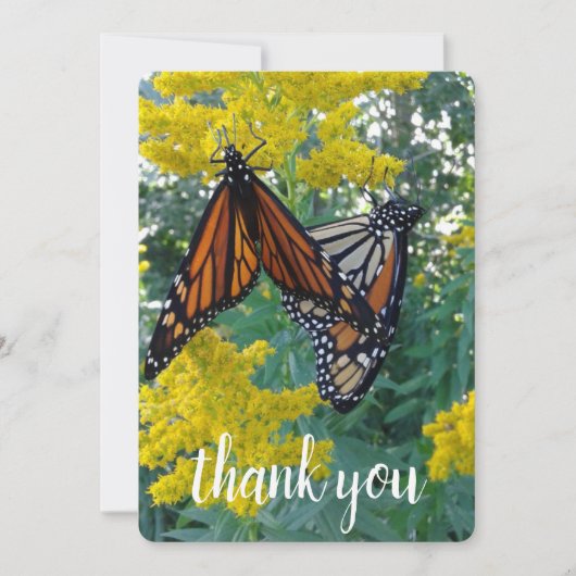蝶かわいらし二羽 サンキューカード (正面)