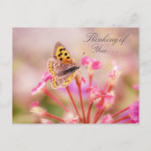 蝶があなたを想って ポストカード (正面)
