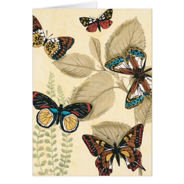 蝶がに浮か葉ぶ (正面)