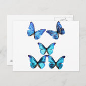 蝶が光るポストカード ポストカード (正面/裏面)