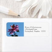 蝶とシャロンバラ住所 シール (インサイチュ)