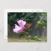 蝶とシャロンバラ ポストカード (正面/裏面)