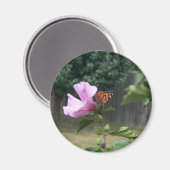 蝶とシャロンバラ マグネット (正面/裏面)