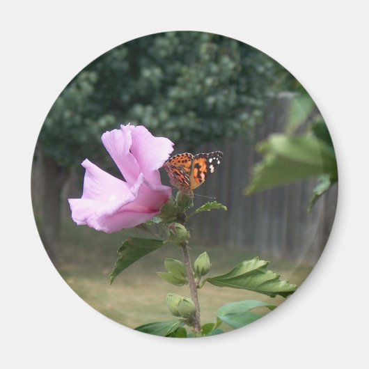 蝶とシャロンバラ マグネット (正面)