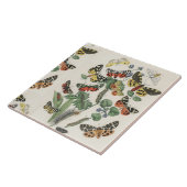 蝶とセラミック6インチタイル タイル (側面)