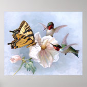 蝶とハチドリ ポスター (正面)