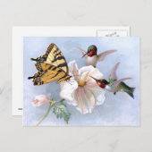 蝶とハチドリ ポストカード (正面/裏面)