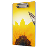 蝶とヒマワリ クリップボード (左)