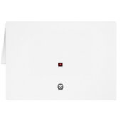 蝶とピンクのカーネーションガーデン空白の (裏面横)