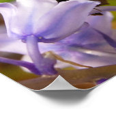 蝶とブルーベル ポスター (角)