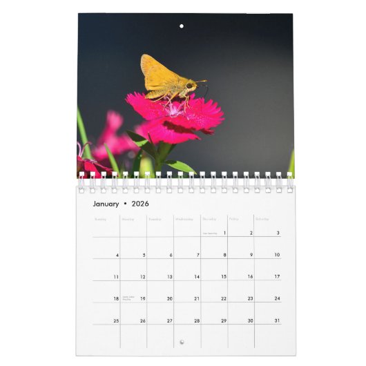 蝶と友人 カレンダー (1月 2026)