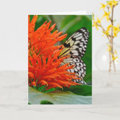 蝶と最も深い悔やみや弔慰 カード (黄色い花)