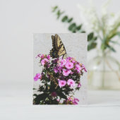 蝶と朝顔 ポストカード (スタンド正面)