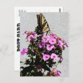 蝶と朝顔 ポストカード (正面/裏面)