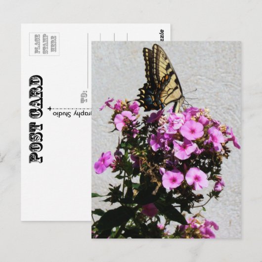 蝶と朝顔 ポストカード (正面/裏面)