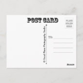 蝶と朝顔 ポストカード (裏面)