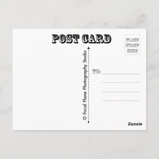 蝶と朝顔 ポストカード (裏面)