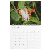 蝶と毛虫の暦 カレンダー (3月 2026)