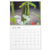 蝶と毛虫の暦 カレンダー (1月 2026)