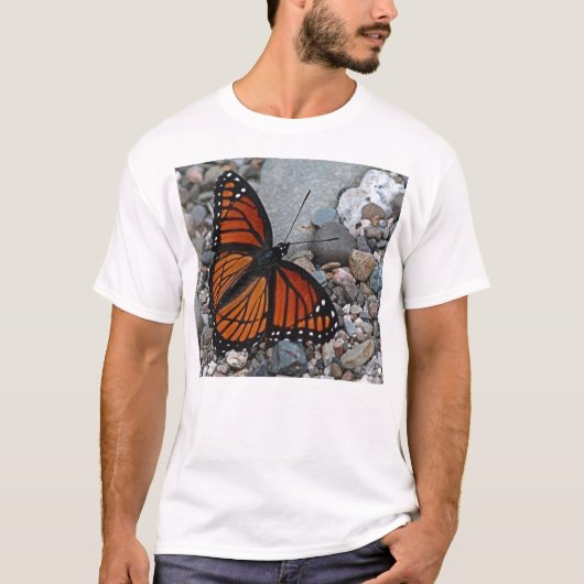 蝶と石 Tシャツ (正面)