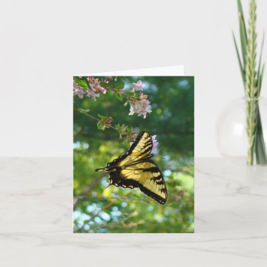 蝶と空 カード (正面)