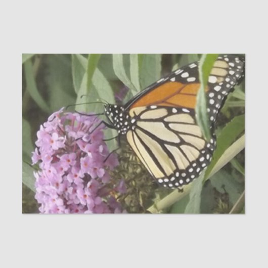 蝶と紫の花ティッシュペーパー 薄葉紙 (正面)