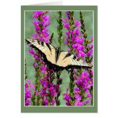 蝶と紫の闘争 (正面)